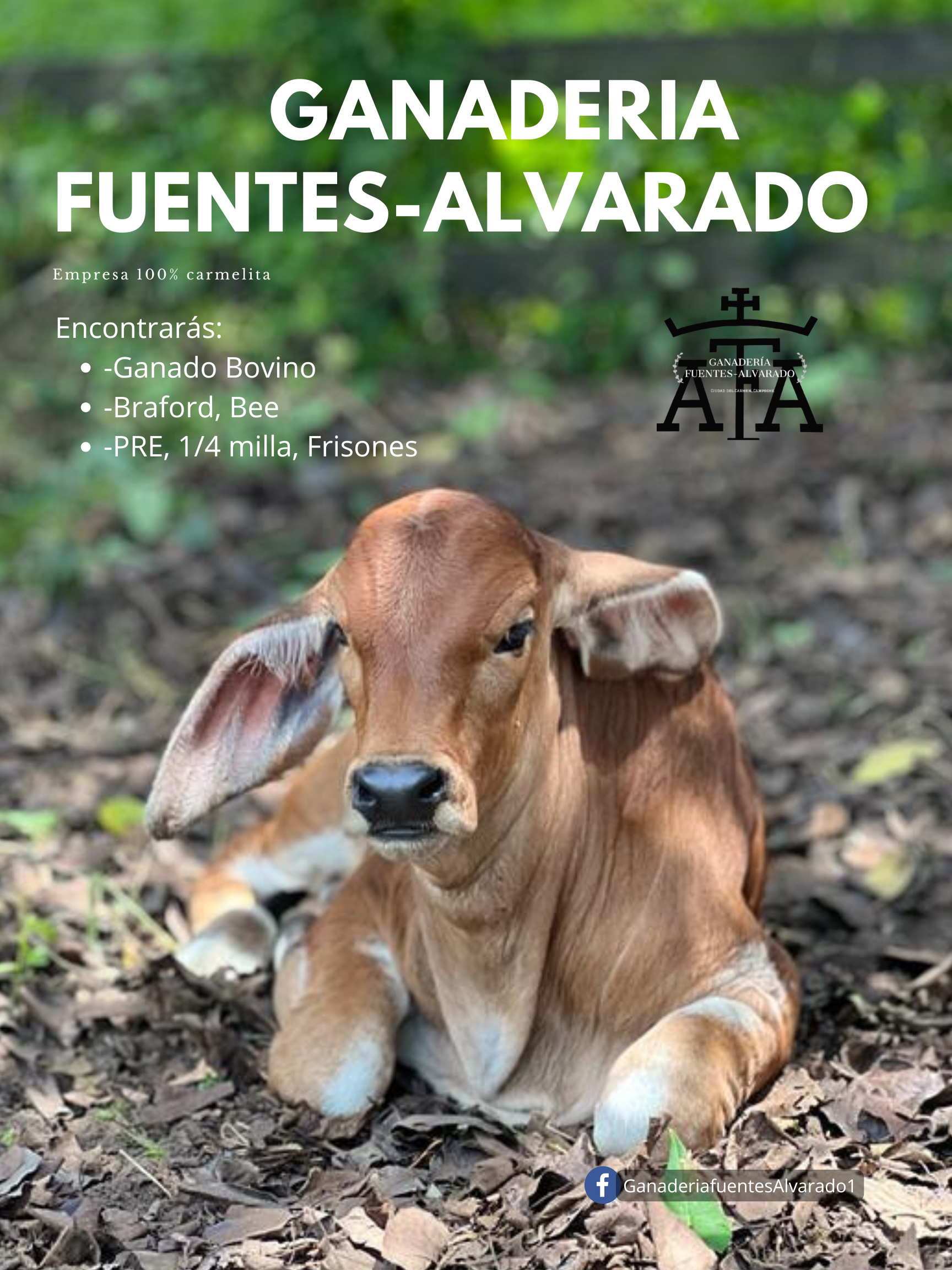 Ganaderia fuentes alvarado